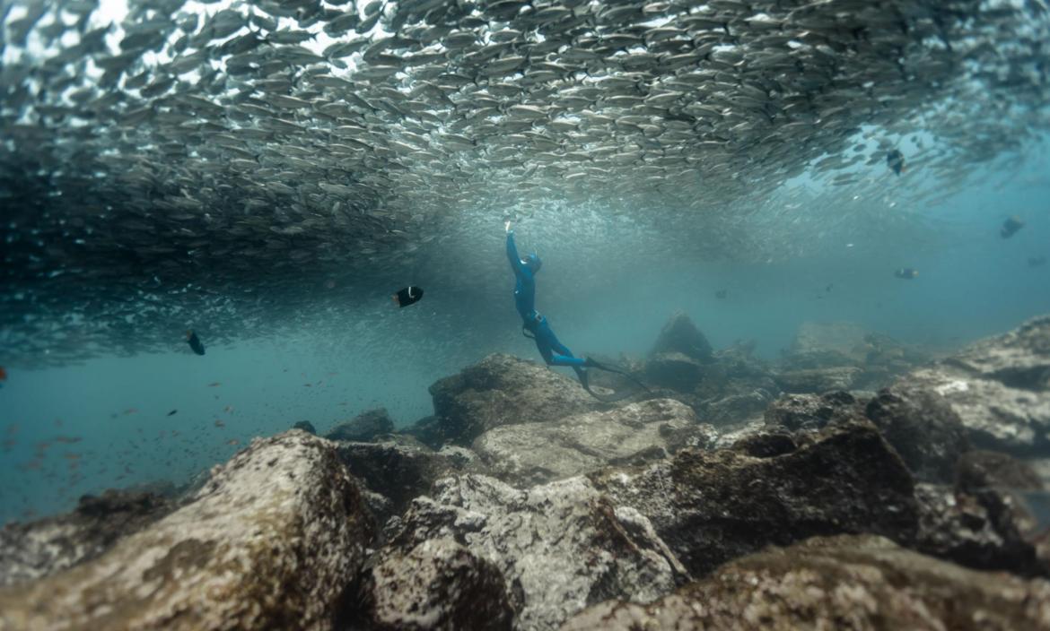 UNA VIDA BAJO EL OCEANO 