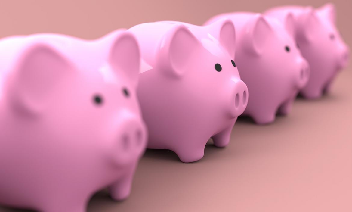 Imagen piggy-2889044_960_720