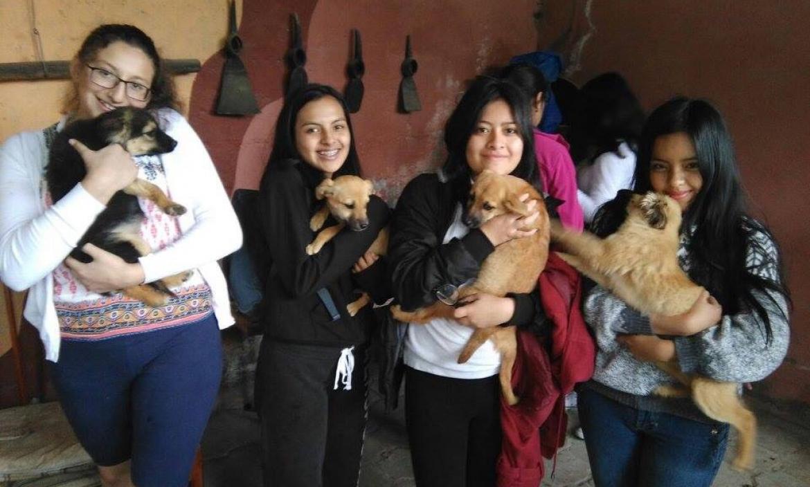 Imagen IMG_1241
