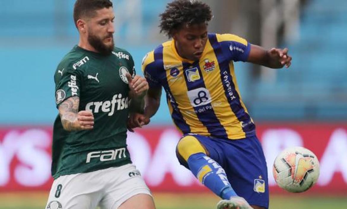 Delfín cayó ante Palmeiras 1-3.