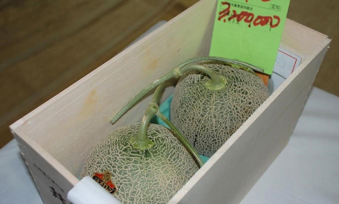 Los melones subastados en Japón.