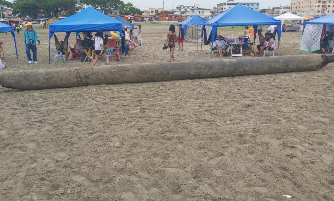 Niña murió golpeada por tronco en Playas