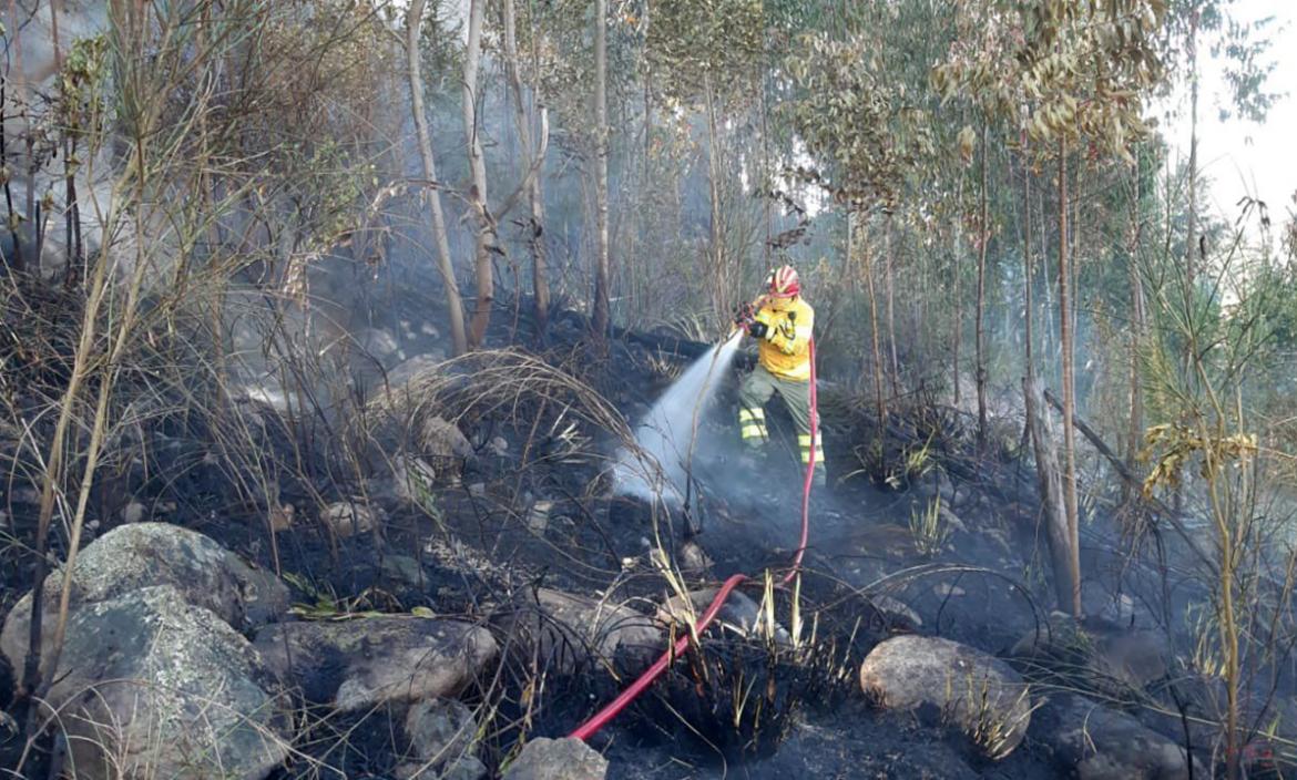 576 hectáreas de vegetación han desaparecido en Azuay y Cañar por efecto del fuego