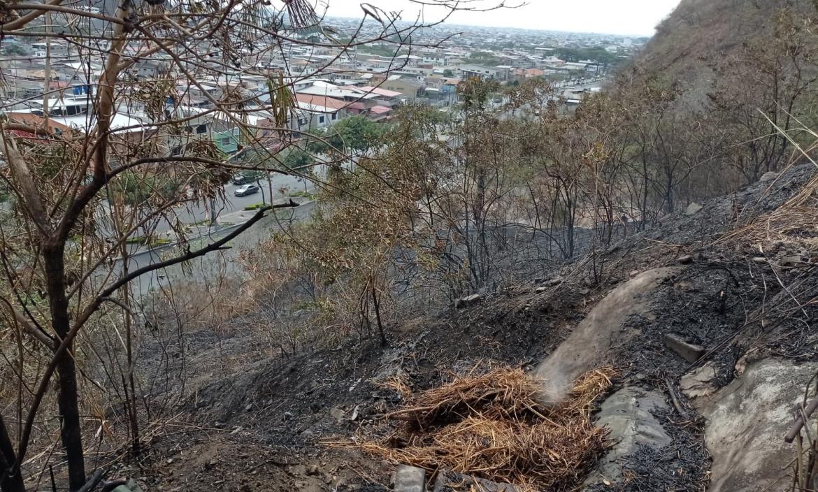 Residentes de Bellavista alarmados por incendio forestal en el cerro del sector