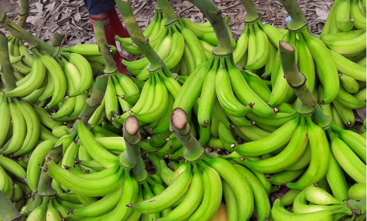 El verde, en el top 5 de los alimentos que más se encarecieron, según el INEC