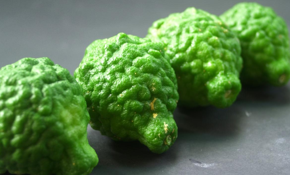 bergamot-1554278_1280