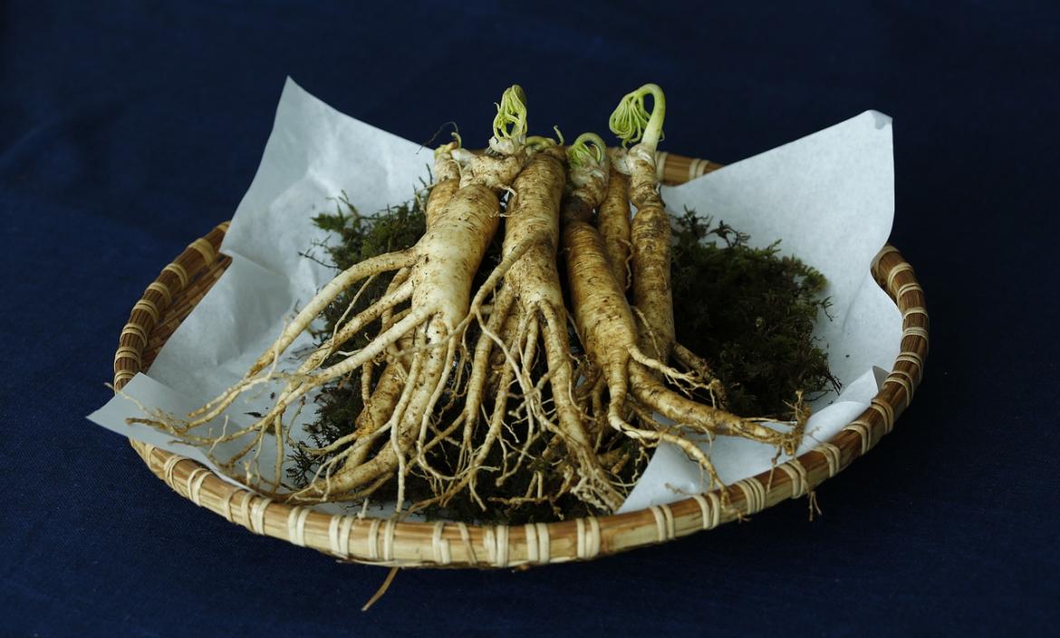 ginseng-3404958_1280