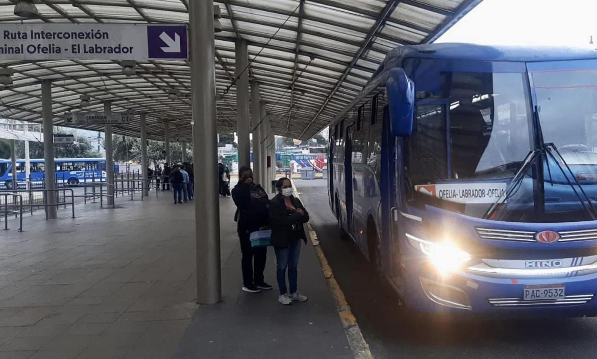 Quito buses