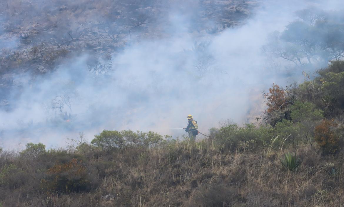 Varias hectáreas afectadas por incendios en Quito.