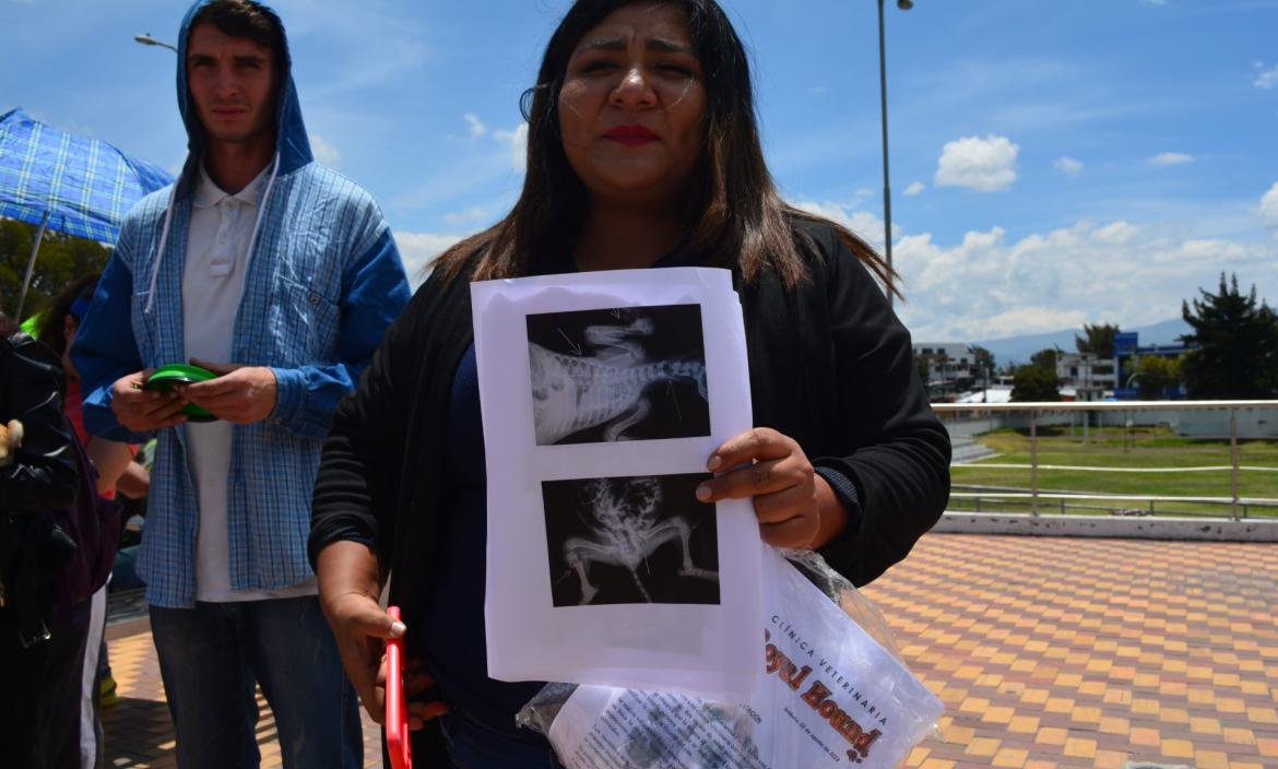 Defensores de animales denunciaron el hecho.