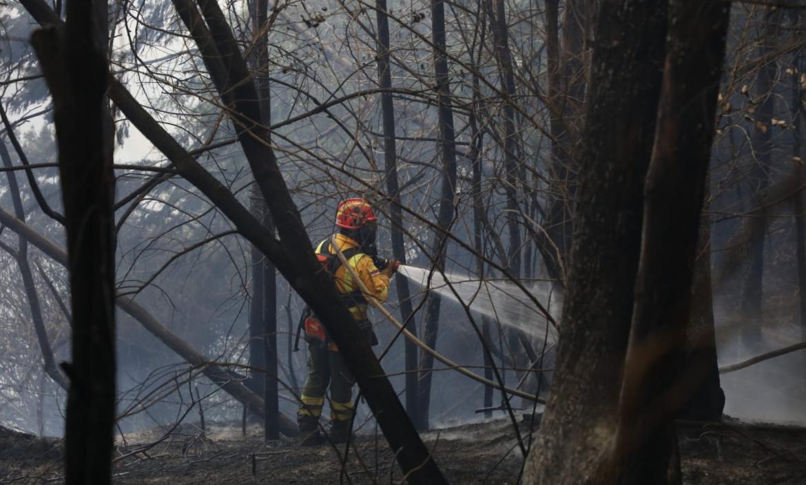 Incendios forestales han generado preocupación en Quito.