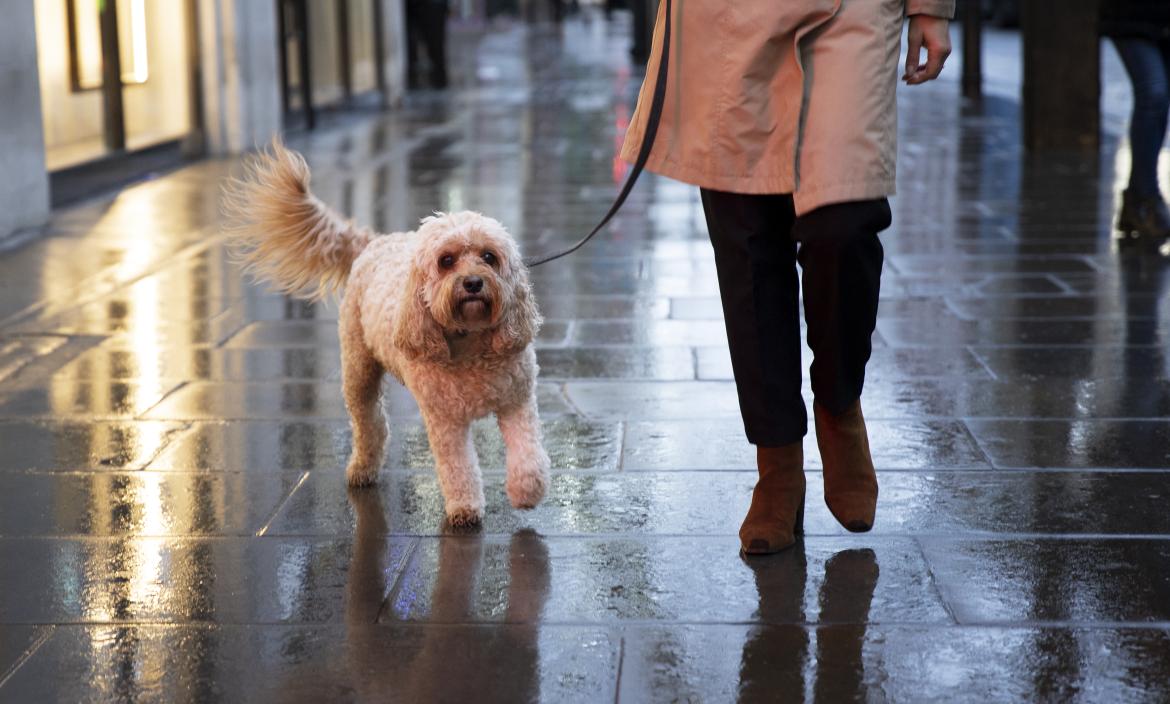 mujer-paseando-su-perro-mientras-llueve