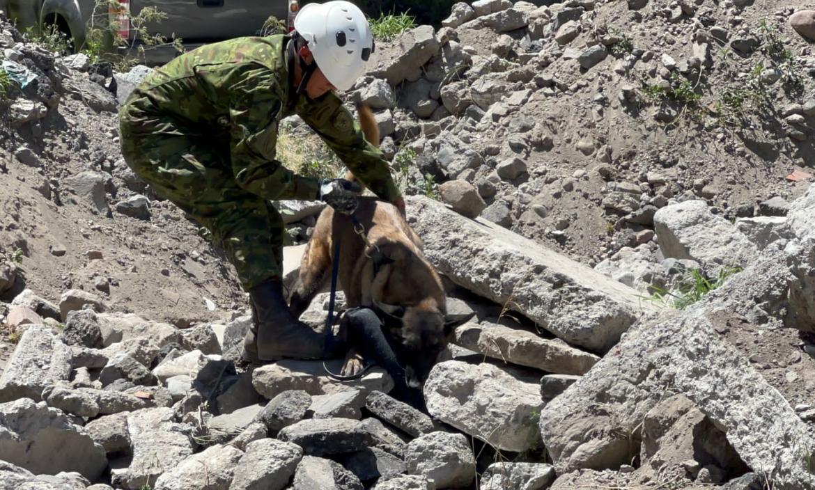 Durante el ejercicio de búsqueda en estructuras colapsadas participaron canes entrenados.