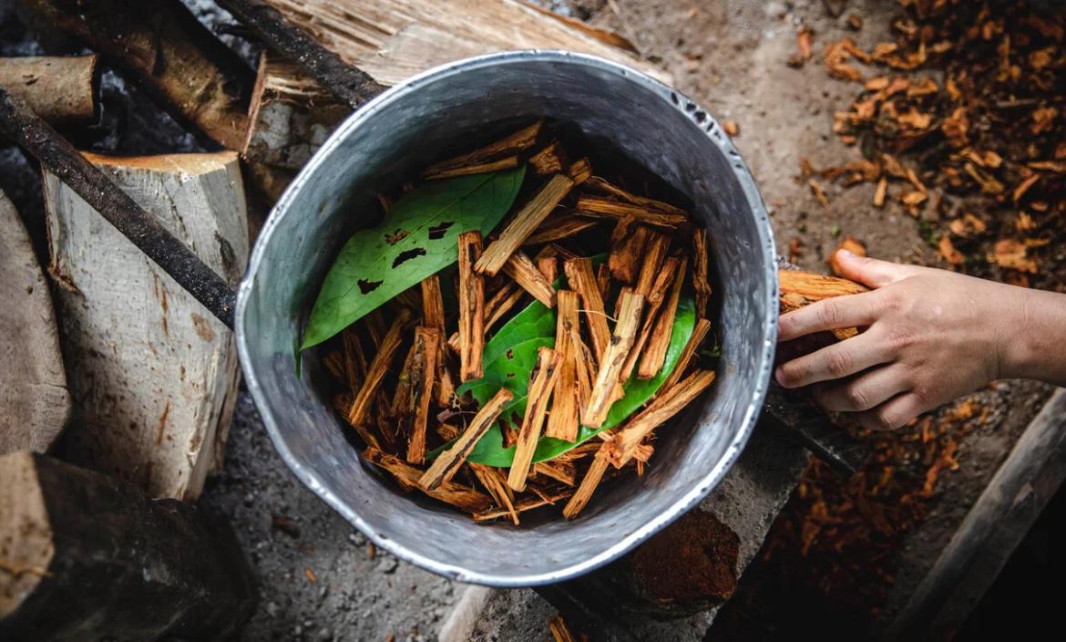 60 kilogramos de ayahuasca fue decomisada por la policia española