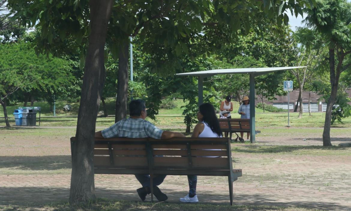 Personas buscan sombra parque Samanes