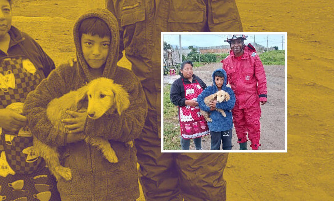 Rescate - Perro - Quito