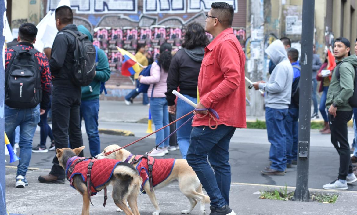Ciudadanos van con sus mascotas a protestar.