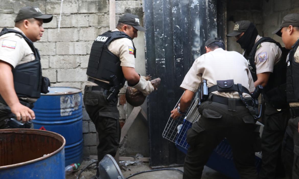 La Policía realizó operativos en el Cristo de Consuelo.