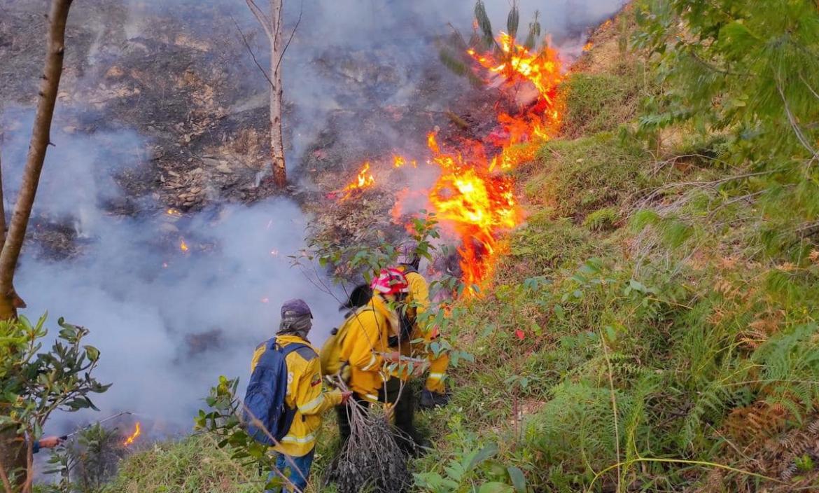 Animales fueron víctimas de una incendio forestal en Quilanga.