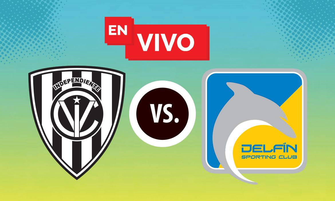 idv delfin