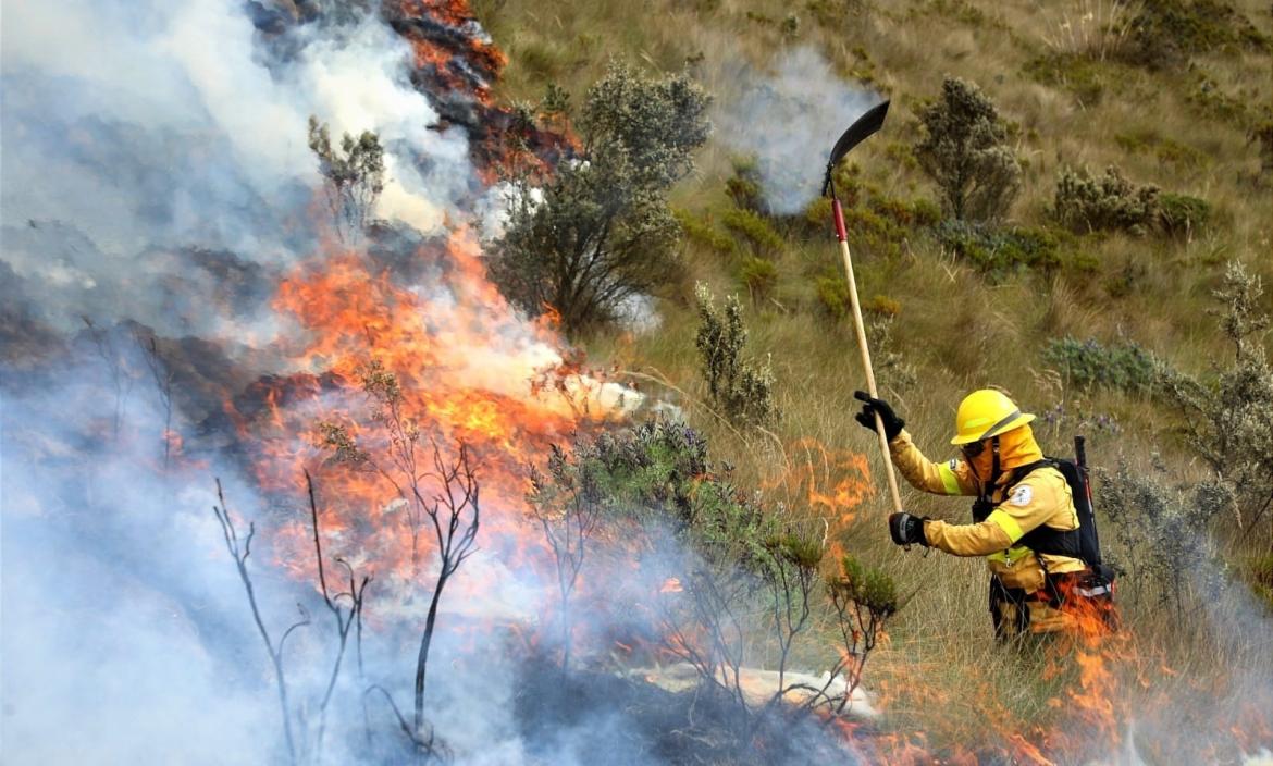 Los bomberos han trabajado de manera extensa en el combate al fuego. Son varios flancos por los que deben atacar.