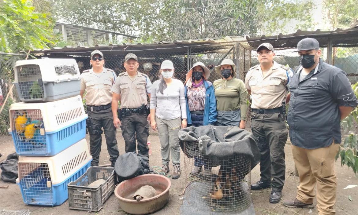 Animales silvestres rescatados en Ecuador