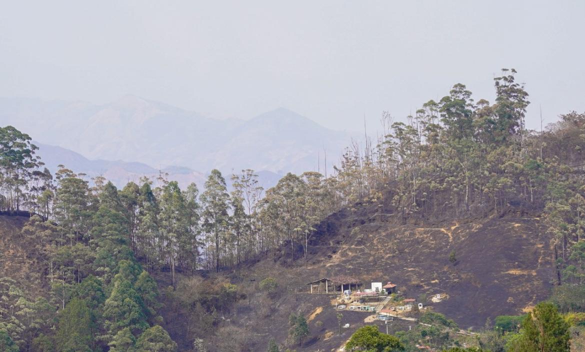 Dura batalla contra incendio forestal en Quilanga.