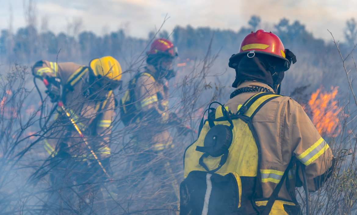 Referencial. Incendio forestal.