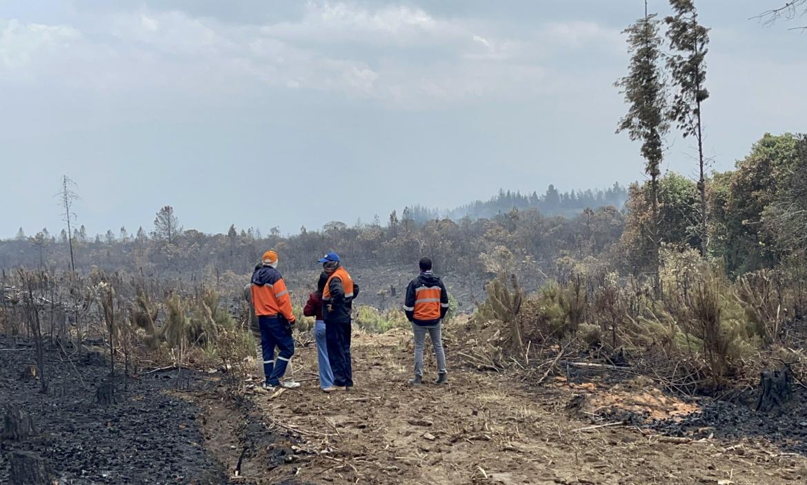 El incendio en el cerro San Pablo, en San Fernando, ya fue liquidado según informó la Secretaría de Gestión de Riesgos.