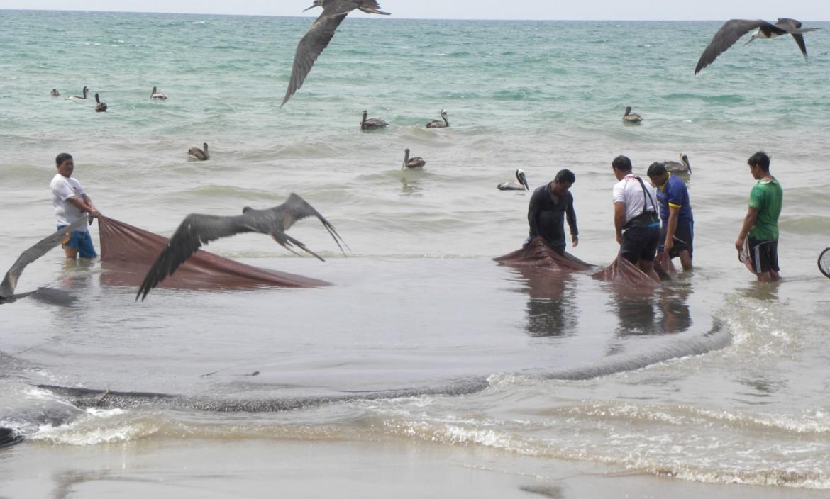 Pesca en Ecuador