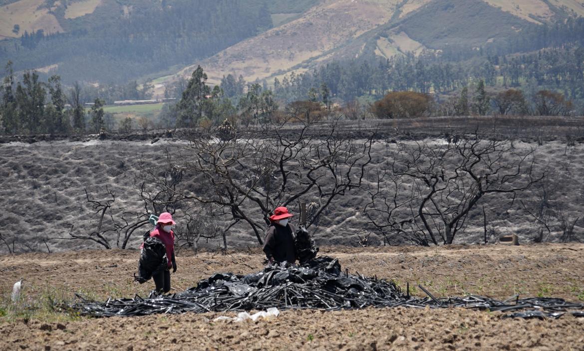 INCENDIOS EN QUITO