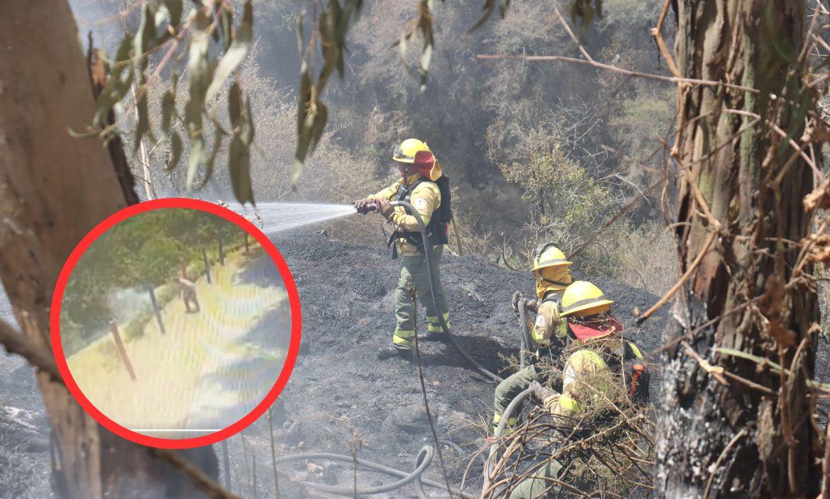 incendios forestales en Quito