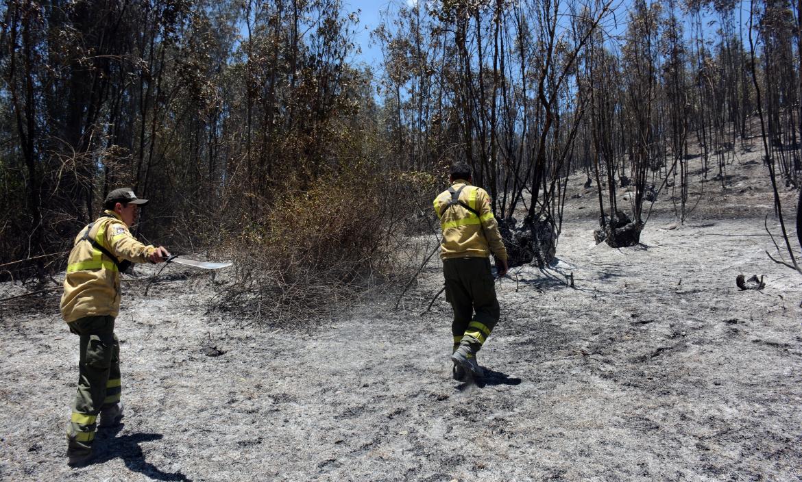 INCENDIOS EN QUITO