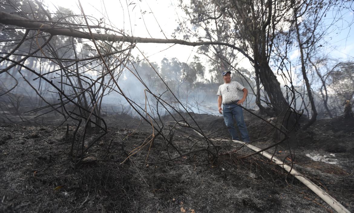 Los incendios forestales azotan Quito.