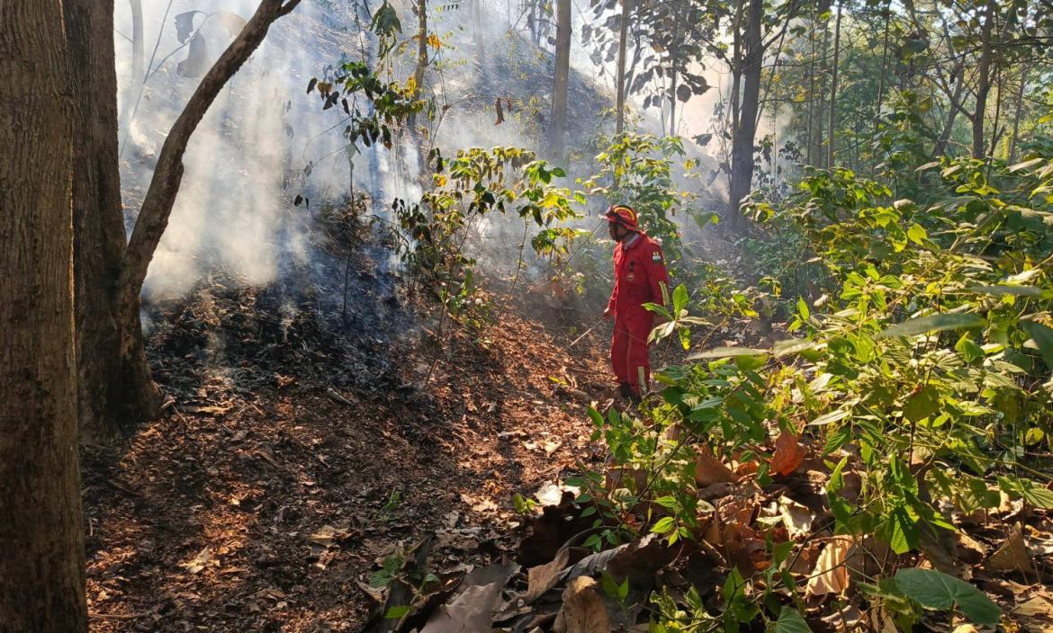 El incendio fue controlado luego de 12 horas.