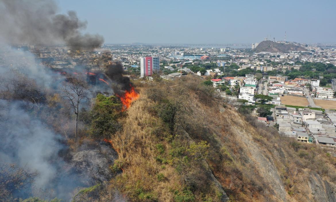 En el cerro San Pedro, el calor propagó un incendio la tarde de este martes 17 de septiembre.