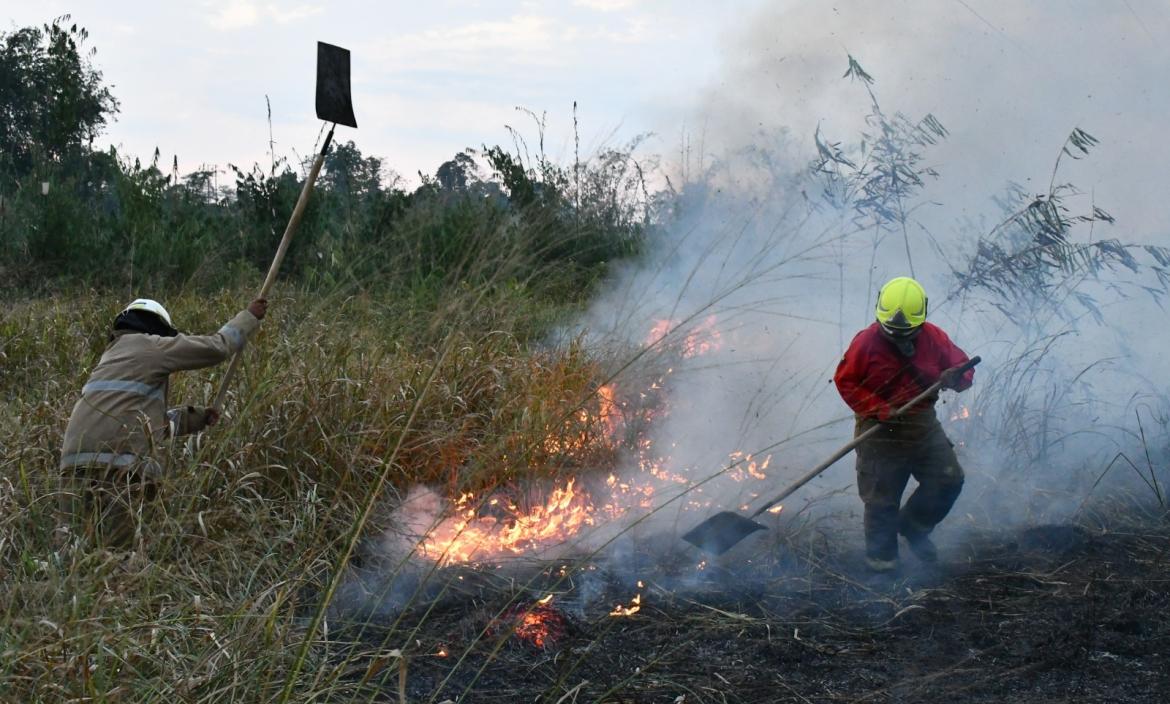 Los incendios forestales han consumido miles de hectáreas en Ecuador.