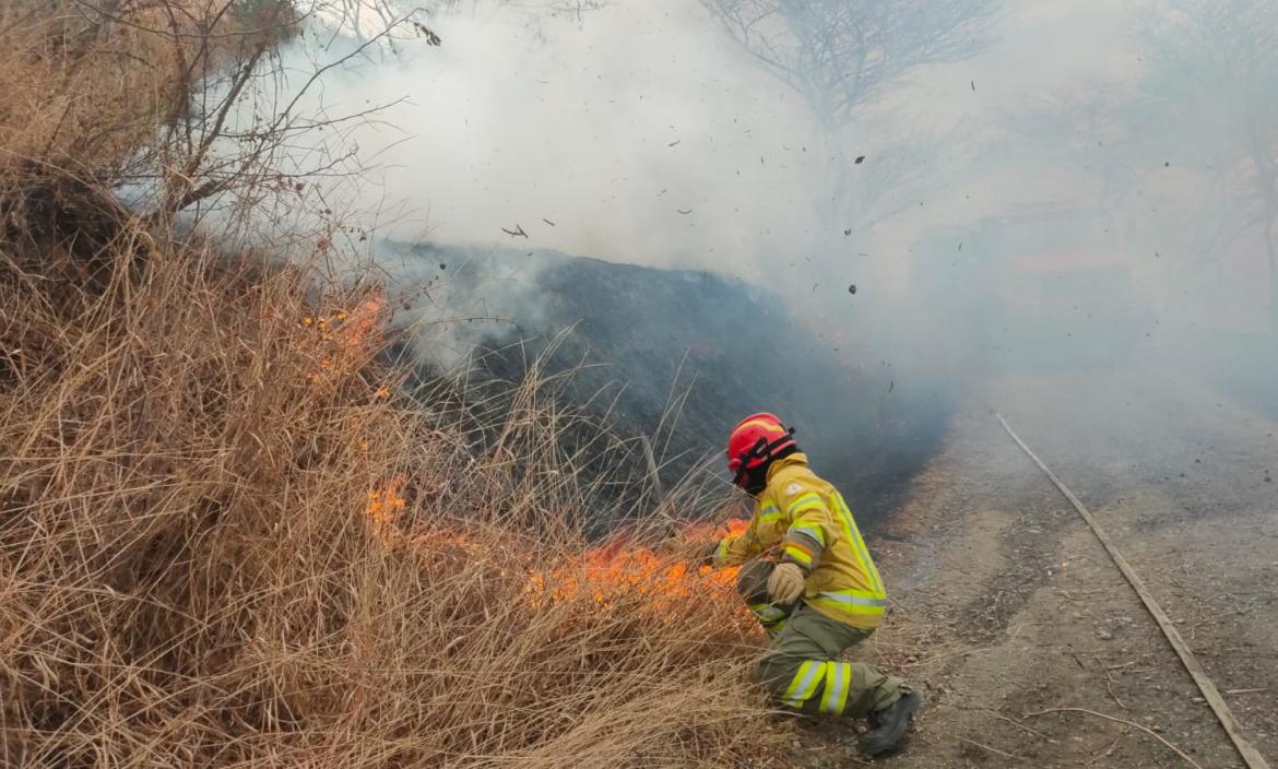 Más de 1.000 hectáreas se han consumido a causa del incendio.