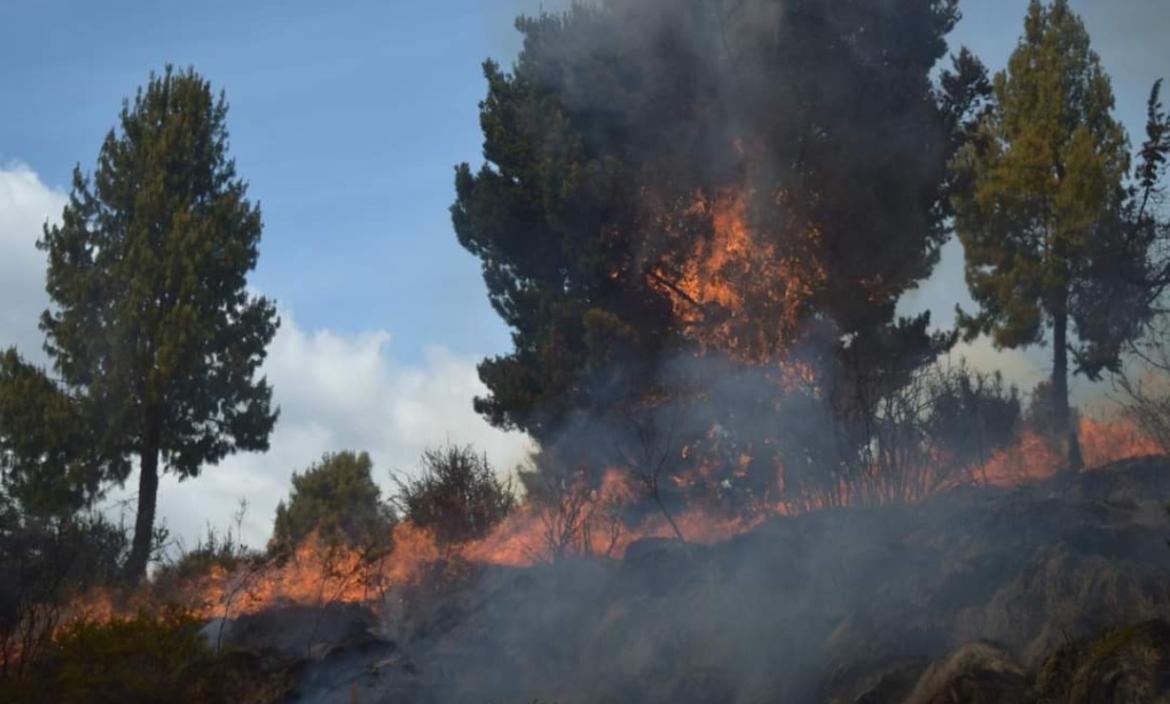 Incendio en sector Pansache