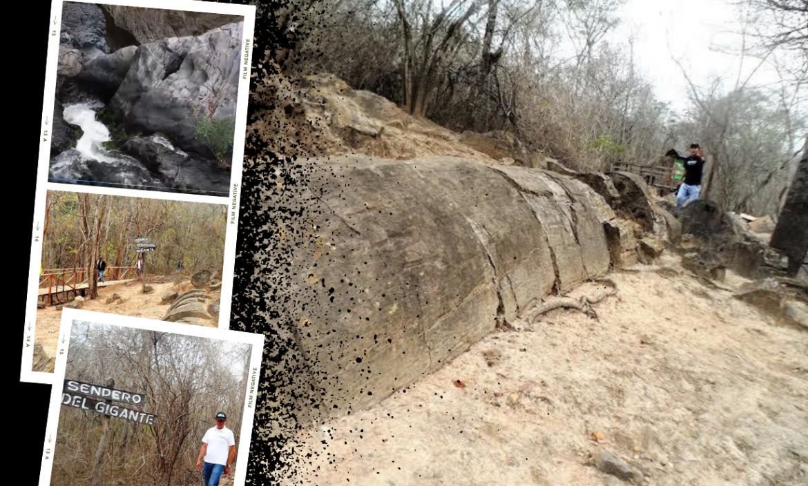 Bosque petrificado en cantón Las Lajas