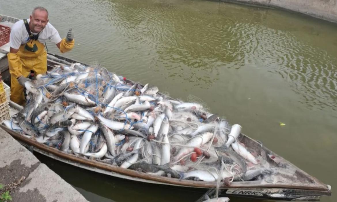 Decenas de pescados saltaron alrededor y sobre la barca de Nelo Soler.