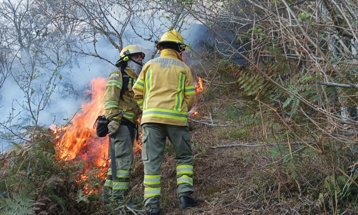 Incendio forestal en Zamora Huaico.