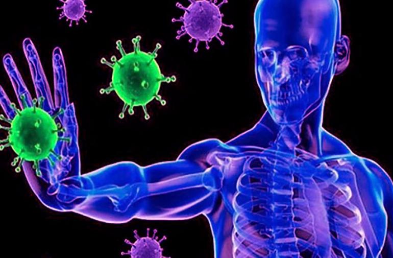 La desaparición de anticuerpos no supone una pérdida de inmunidad frente al coronavirus