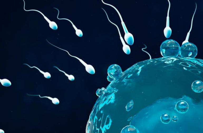El covid-19 podría afectar la fertilidad en los hombres.
