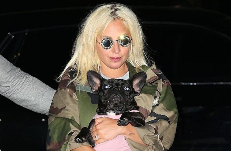 El miércoles mataron al cuidador de perros de Lady Gaga.