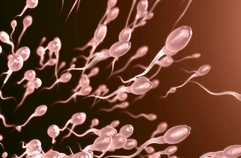 Científicos de Florida crean chip para separar los espermatozoides 