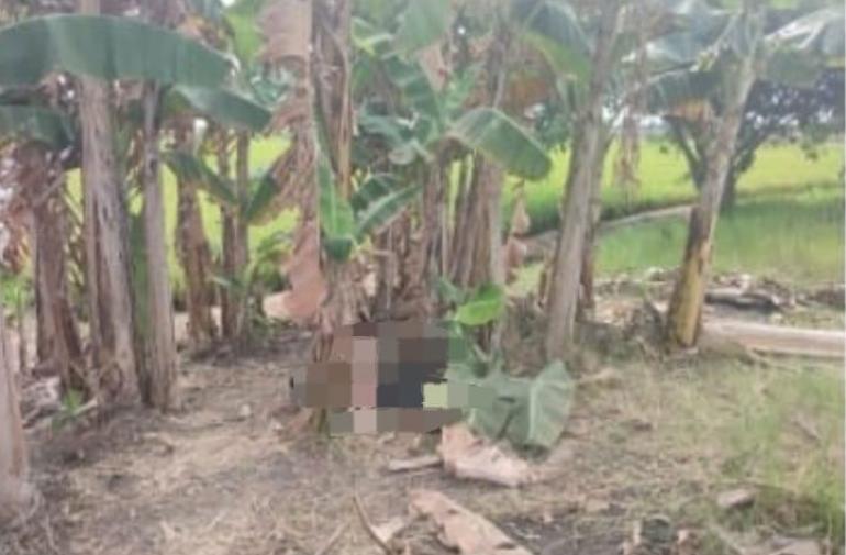 Guayas: Un ciudadano fue encontrado sin vida y con lesiones graves en Salitre