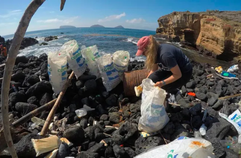 Retiran más de dos toneladas de desechos de las costas de Galápagos