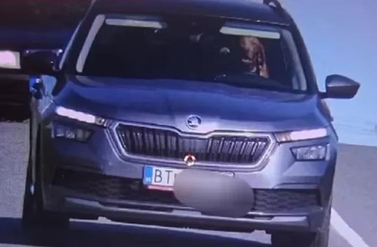 Las imágenes de seguridad captaron al animal conduciendo como si lo hiciera habitualmente.