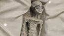 La supuestas momias de Nazca son hechas de goma y elementos vegetales.